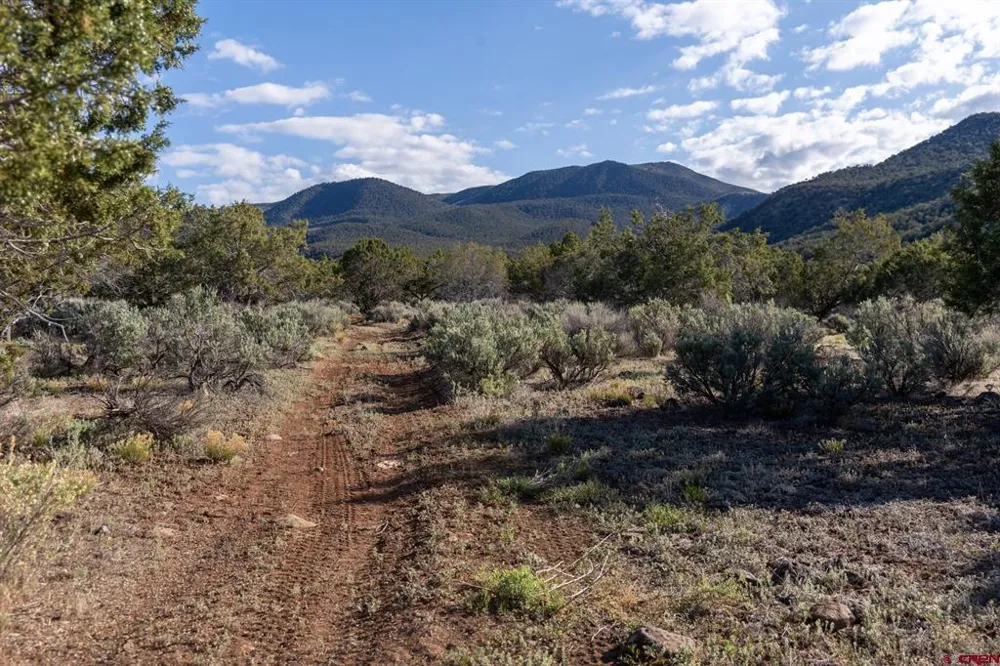 Wolf Park Road Hotchkiss, CO 81419