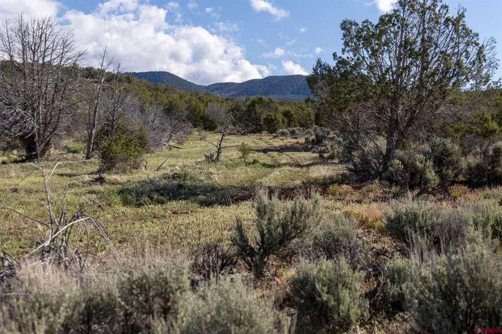 Wolf Park Road Hotchkiss, CO 81419