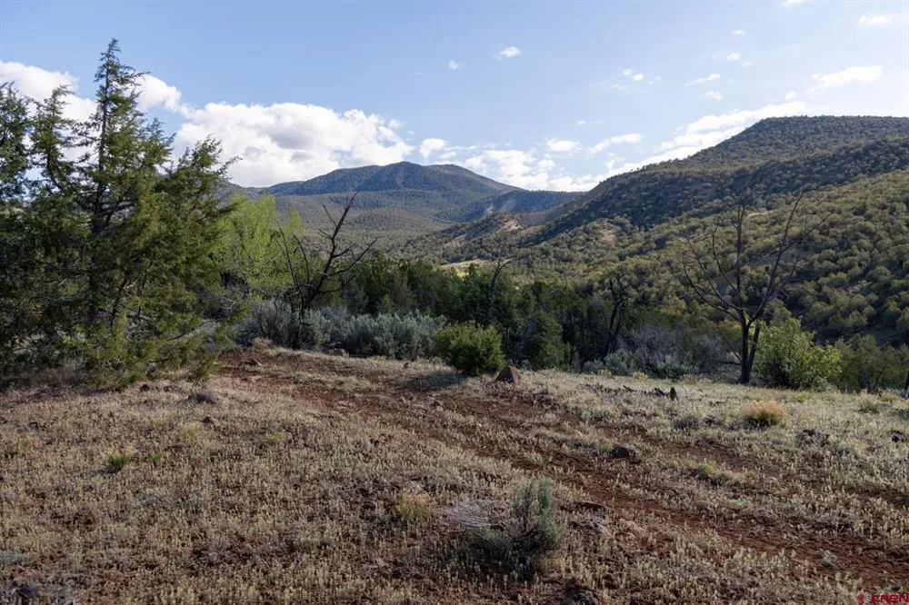 Wolf Park Road Hotchkiss, CO 81419