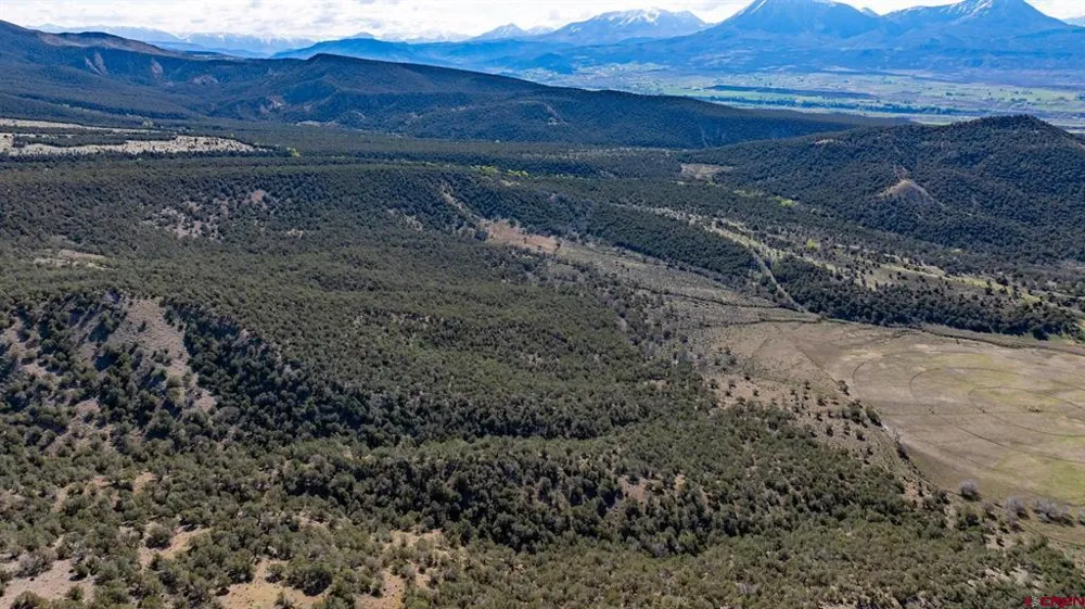 Wolf Park Road Hotchkiss, CO 81419