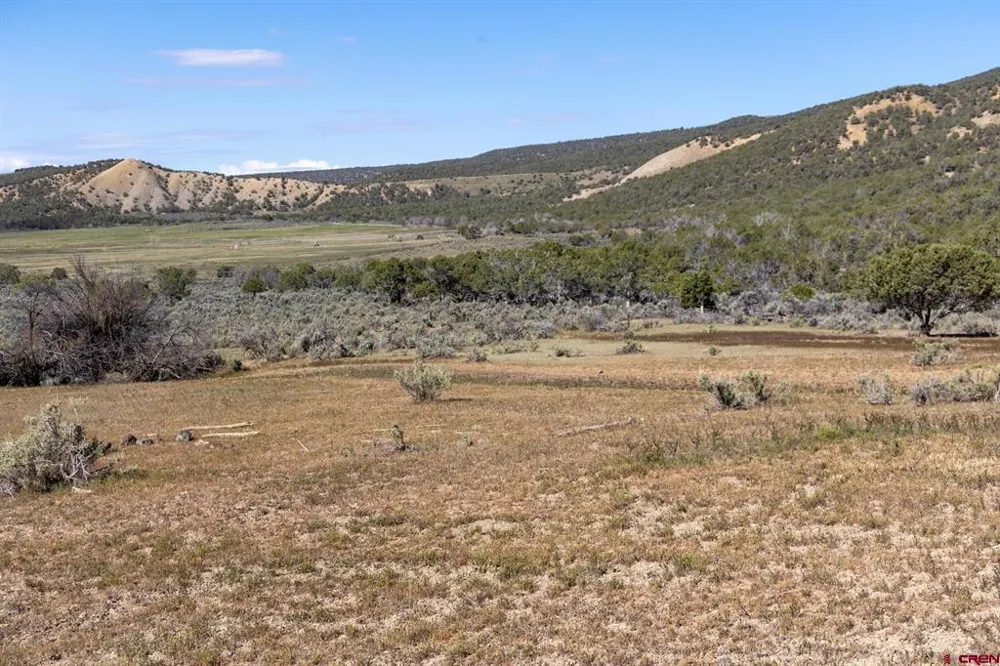 Wolf Park Road Hotchkiss, CO 81419