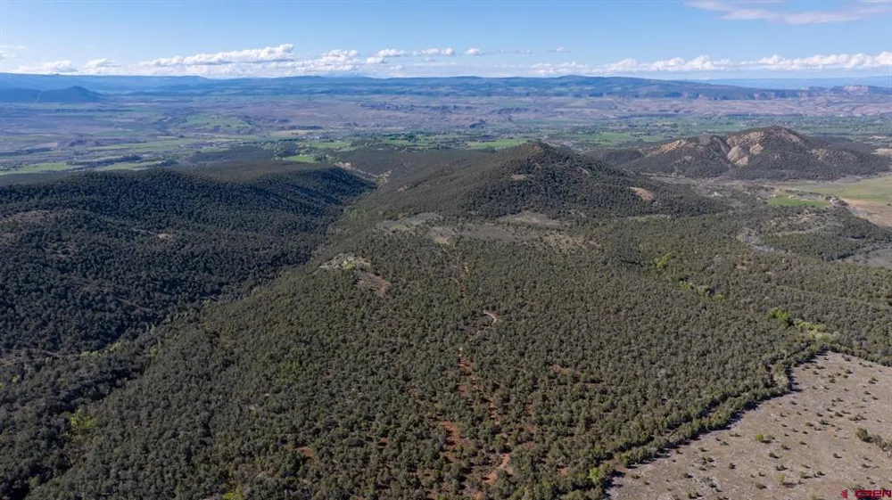 Wolf Park Road Hotchkiss, CO 81419