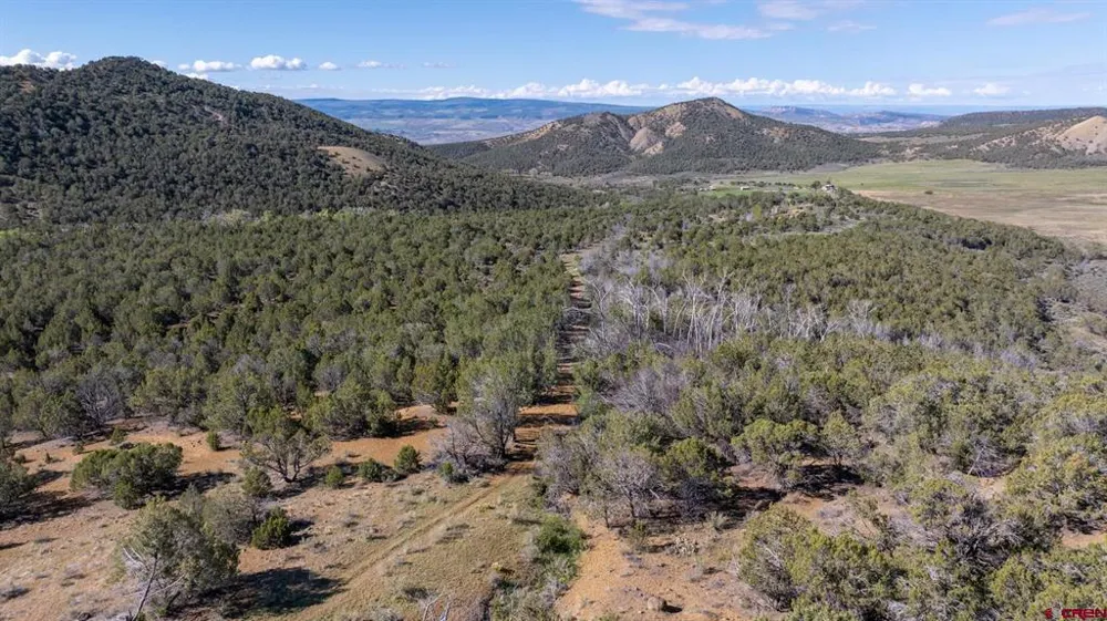 Wolf Park Road Hotchkiss, CO 81419