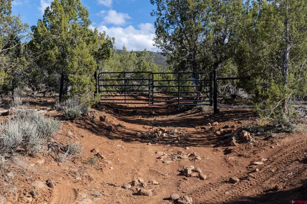 Wolf Park Road Hotchkiss, CO 81419