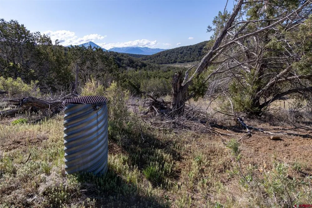 Wolf Park Road Hotchkiss, CO 81419
