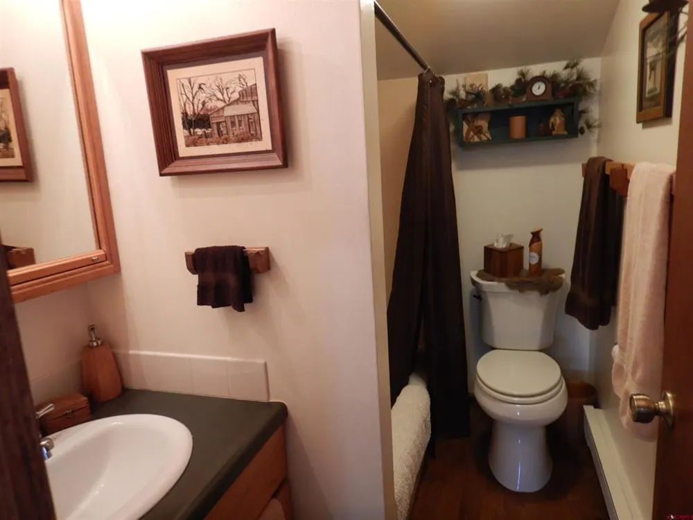 395 Kit Carson Road South Fork, CO 81154