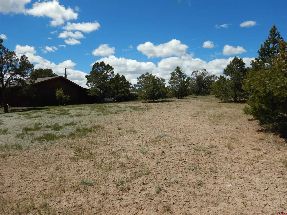 395 Kit Carson Road South Fork, CO 81154