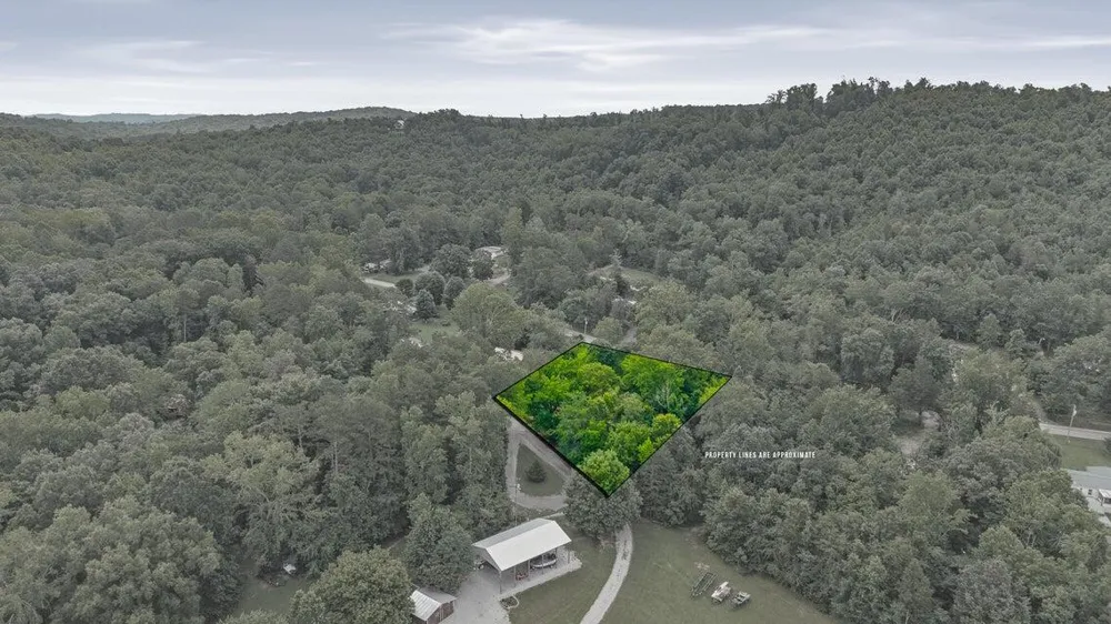195 Crisp Lane Decatur, TN 37322