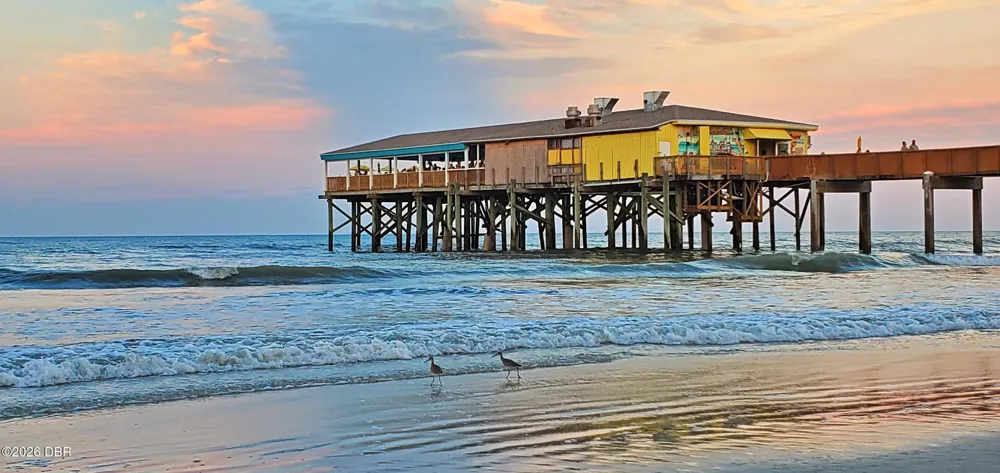 3647 S Atlantic Avenue #105 Daytona Beach Shores, FL 32118