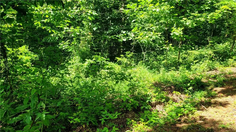 0 High Cliff Road Jasper, GA 30143