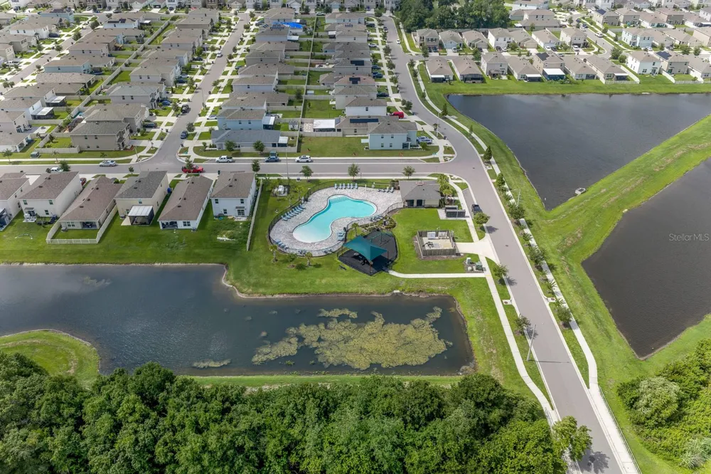 12153 DOWNY BIRCH DRIVE Riverview, FL 33569
