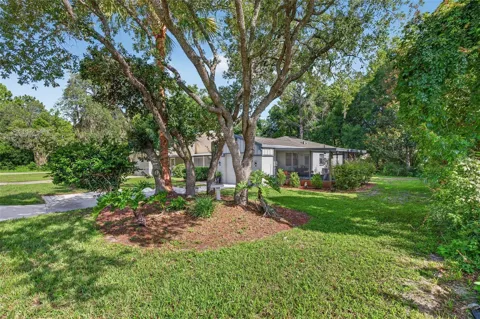 12 CHINABERRY CIRCLE