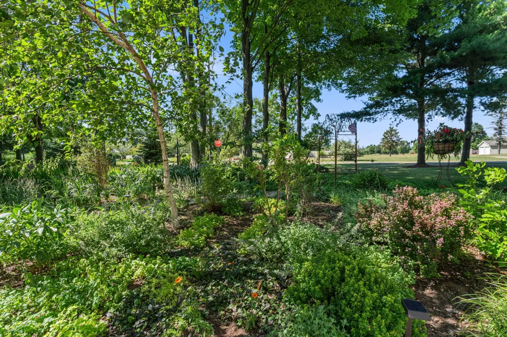 6806 Wiley Road Douglas, MI 49406