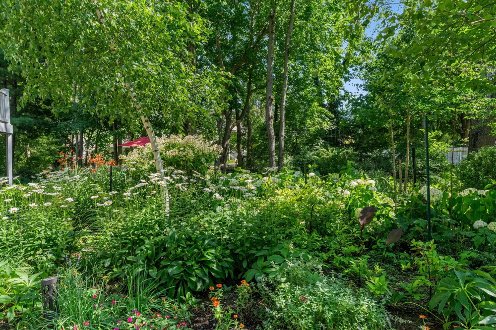 6806 Wiley Road Douglas, MI 49406
