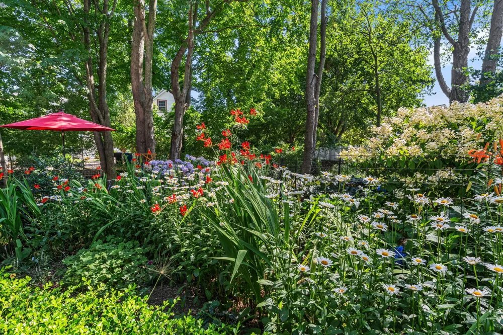 6806 Wiley Road Douglas, MI 49406