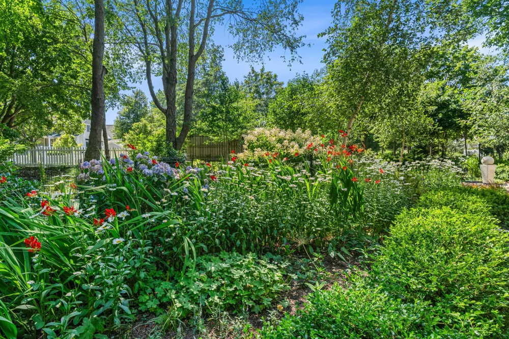 6806 Wiley Road Douglas, MI 49406