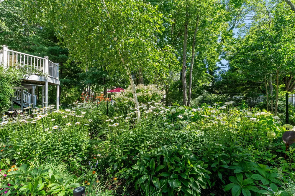 6806 Wiley Road Douglas, MI 49406