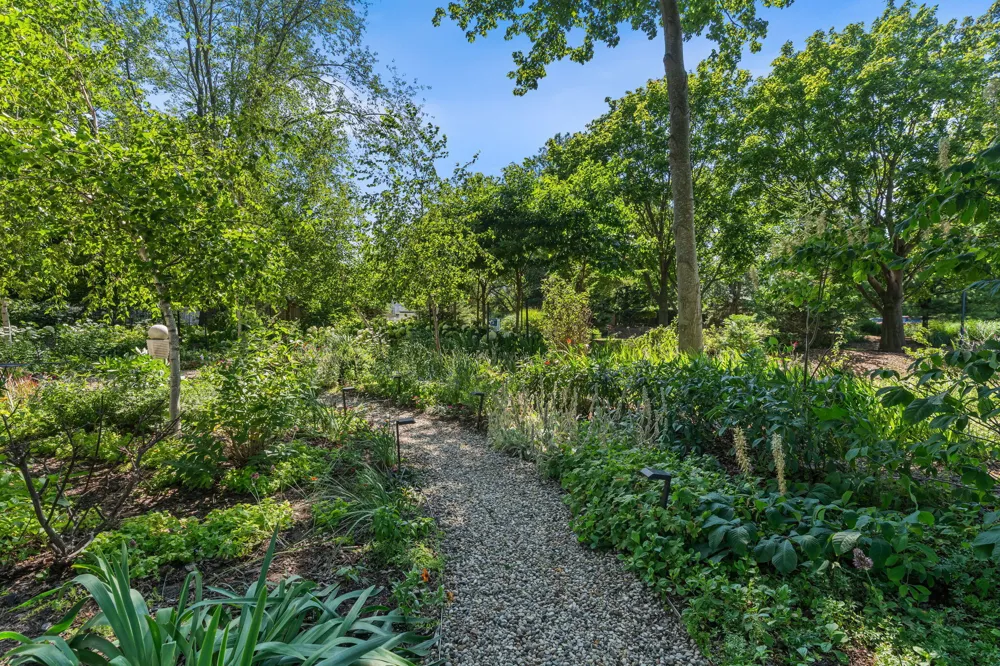 6806 Wiley Road Douglas, MI 49406