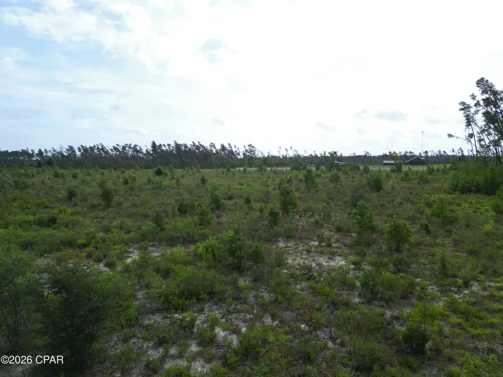 NW Telogia Creek Drive Bristol, FL 32321