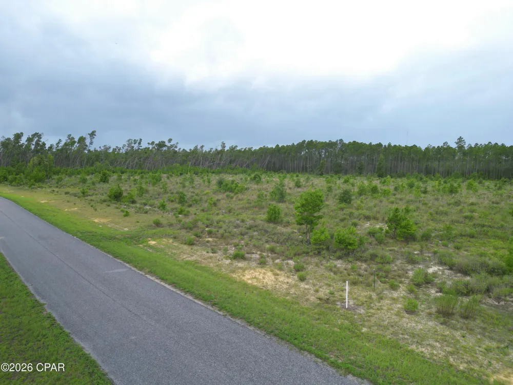 NW Telogia Creek Drive Bristol, FL 32321