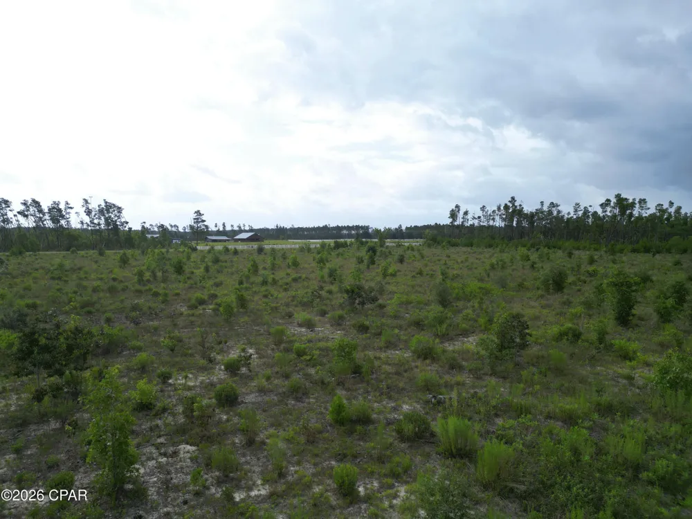 NW Telogia Creek Drive Bristol, FL 32321