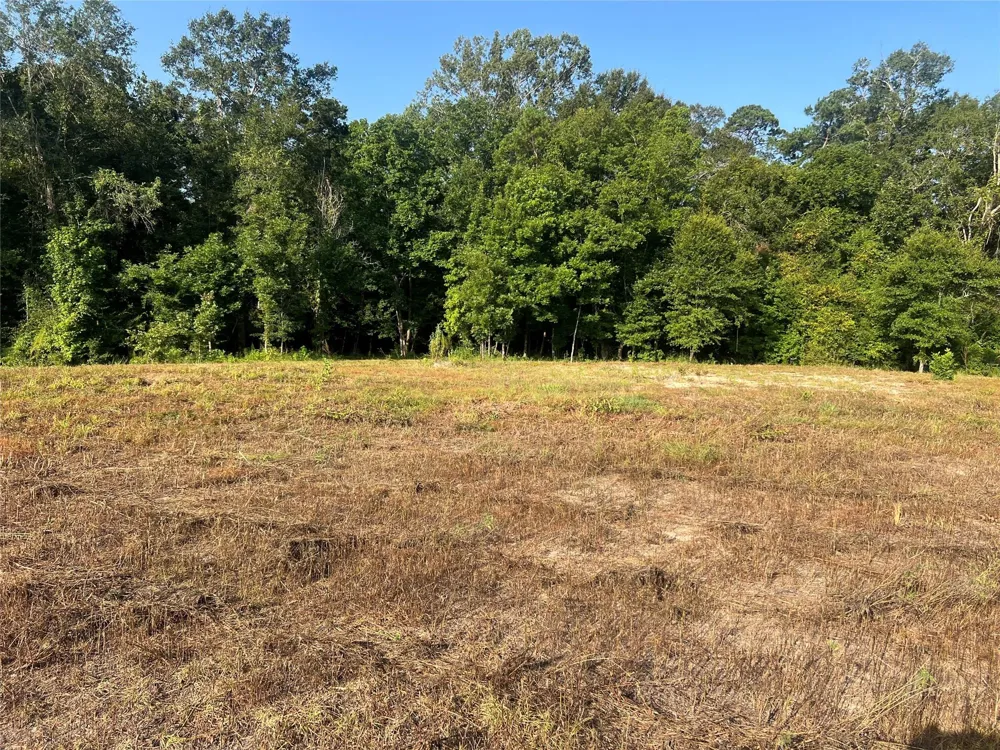 14 Upper Leggett Road Leggett, TX 77350