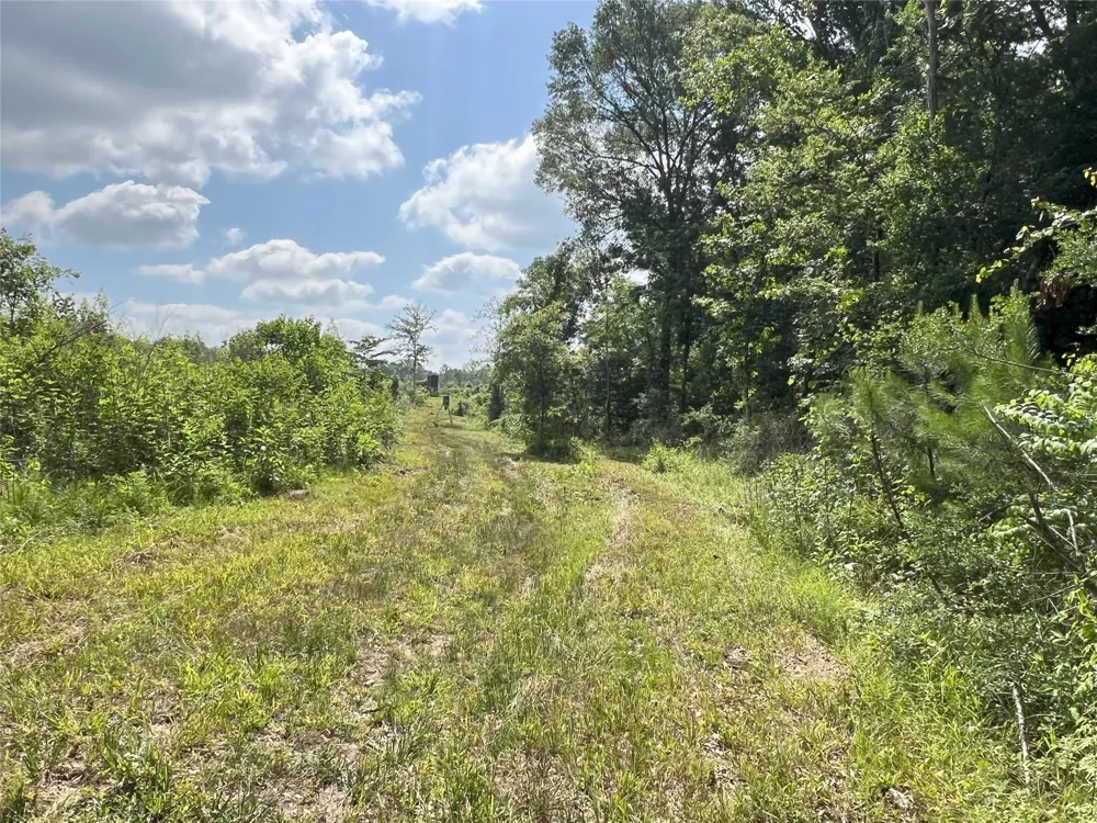 14 Upper Leggett Road Leggett, TX 77350