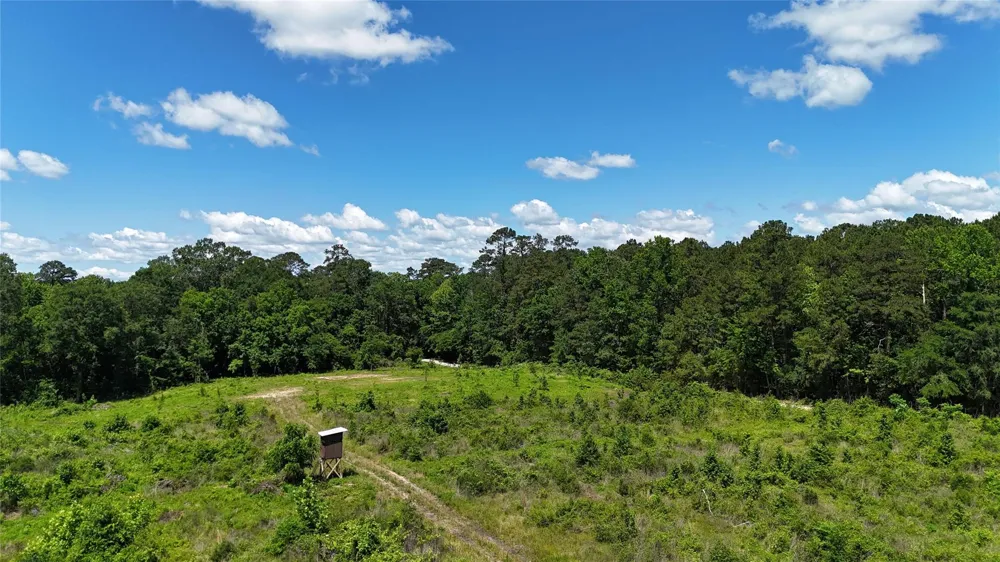 14 Upper Leggett Road Leggett, TX 77350