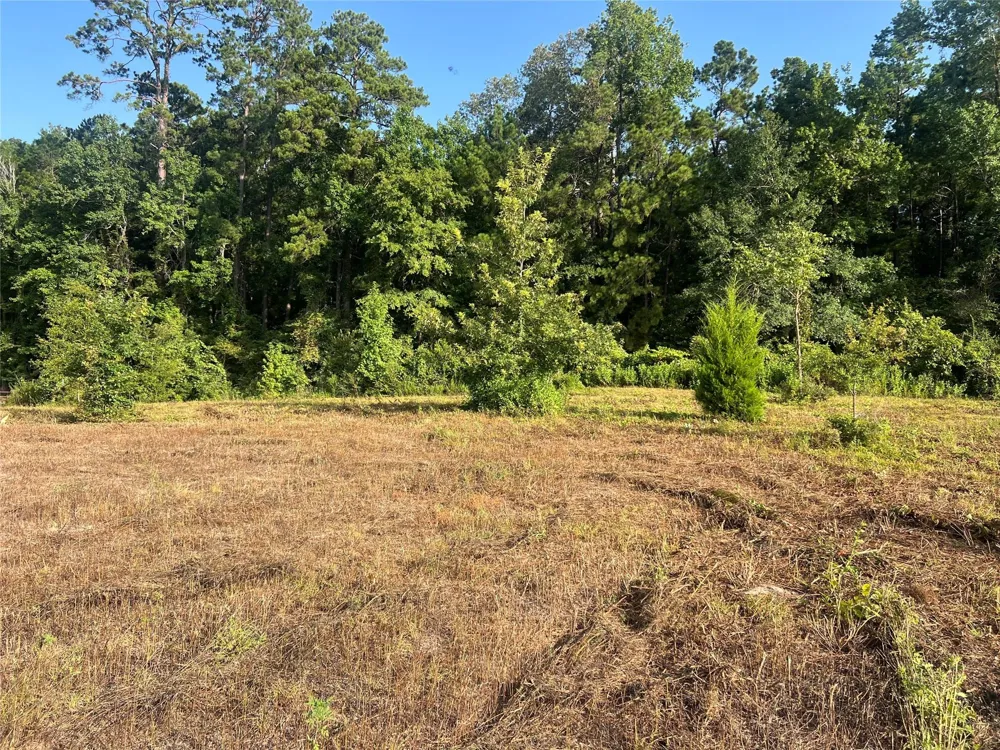 14 Upper Leggett Road Leggett, TX 77350