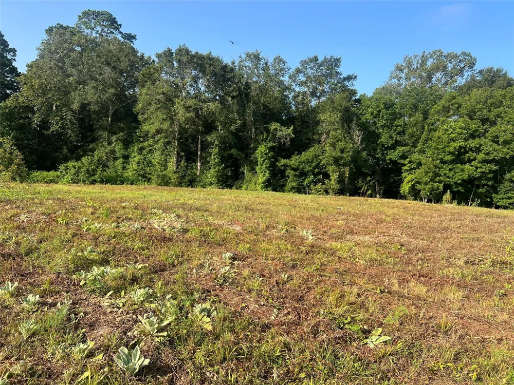 14 Upper Leggett Road Leggett, TX 77350