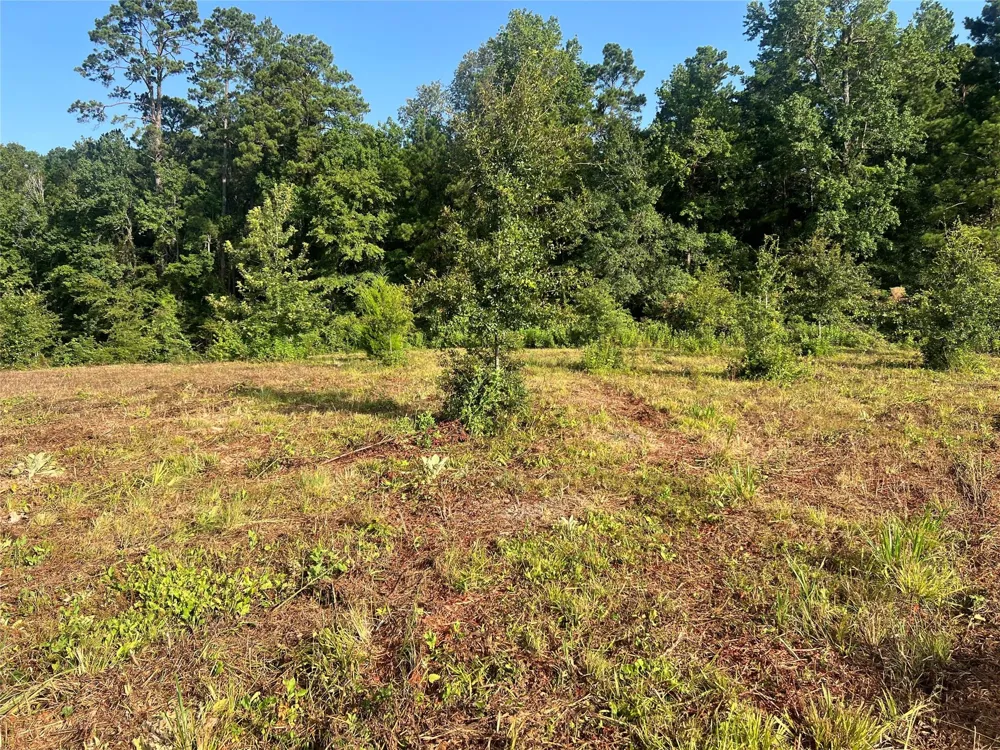 14 Upper Leggett Road Leggett, TX 77350