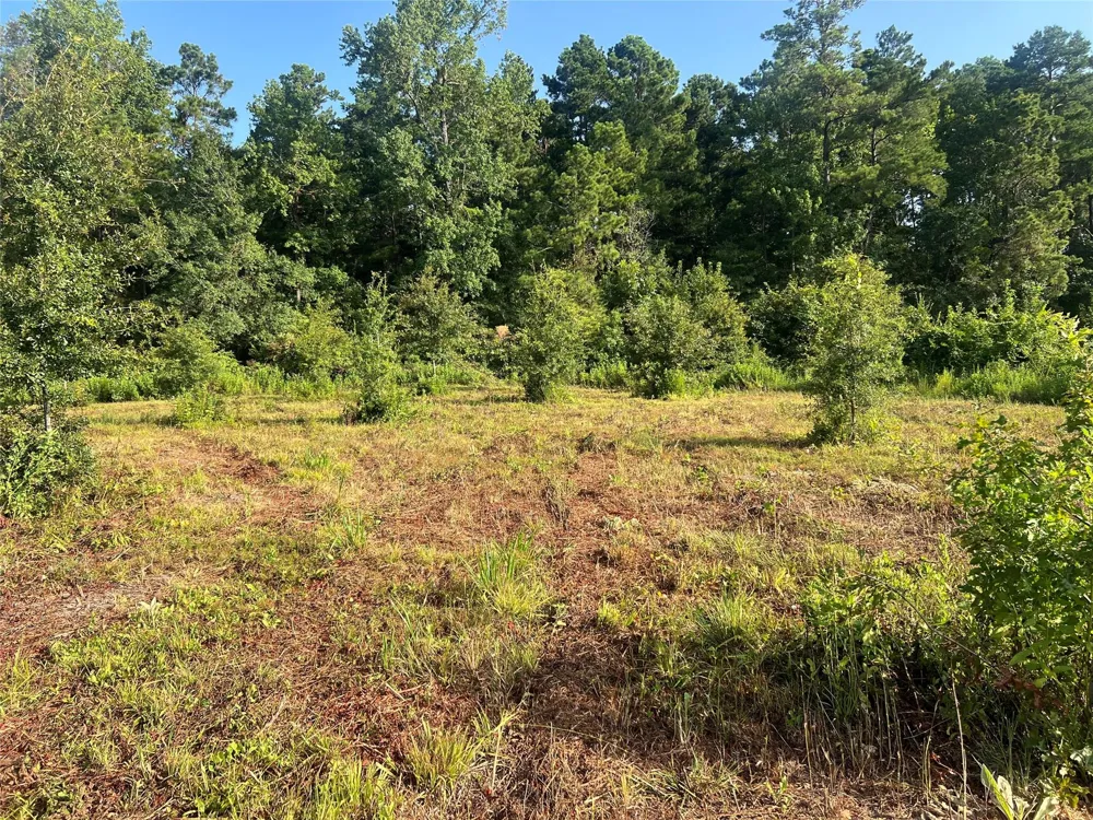 14 Upper Leggett Road Leggett, TX 77350