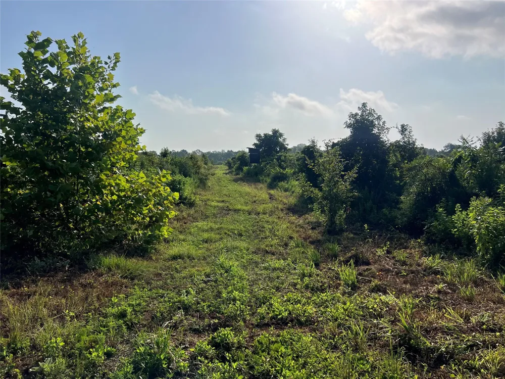 14 Upper Leggett Road Leggett, TX 77350