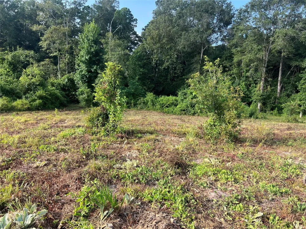 14 Upper Leggett Road Leggett, TX 77350