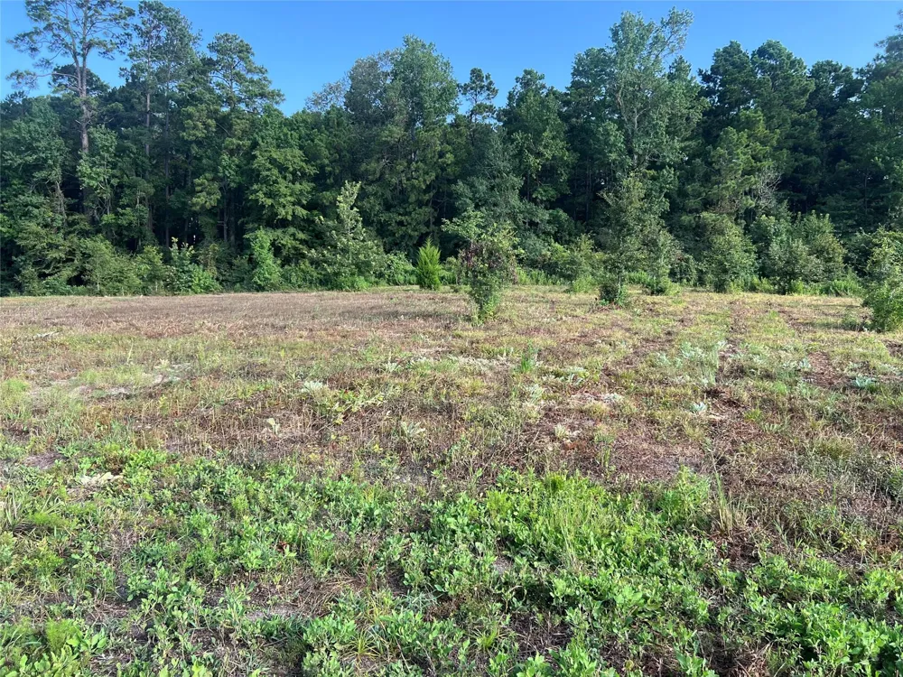 14 Upper Leggett Road Leggett, TX 77350