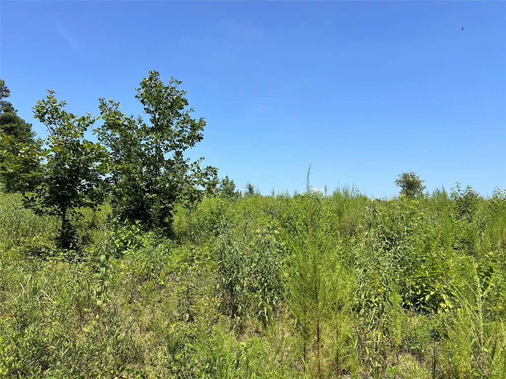 14 Upper Leggett Road Leggett, TX 77350