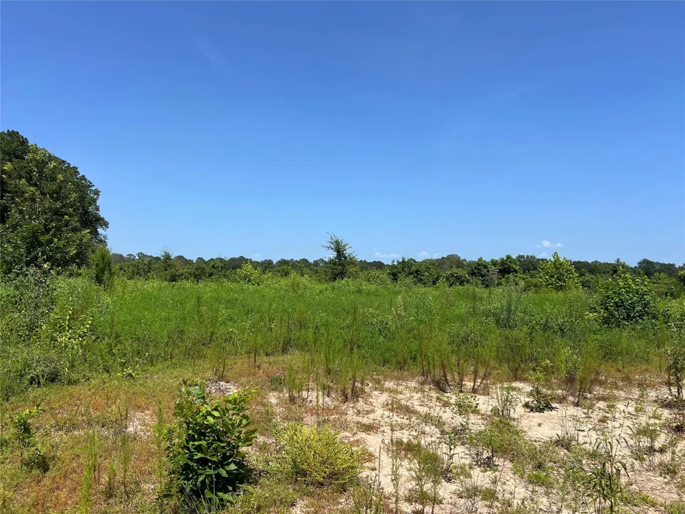 14 Upper Leggett Road Leggett, TX 77350