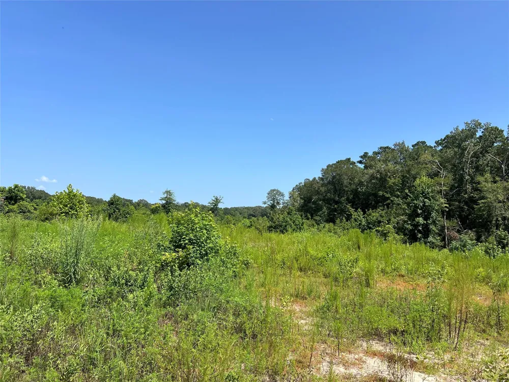 14 Upper Leggett Road Leggett, TX 77350