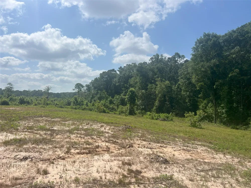 14 Upper Leggett Road Leggett, TX 77350