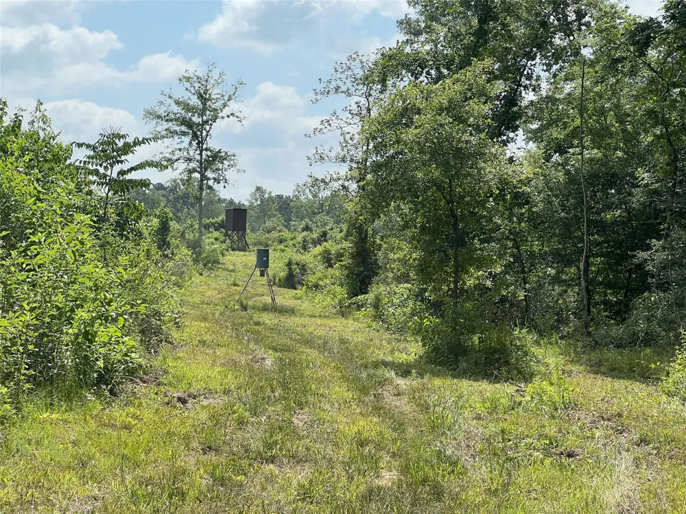 14 Upper Leggett Road Leggett, TX 77350