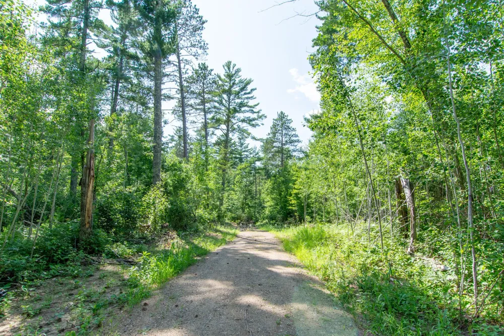 5778 S Bass Lake Road NE Remer, MN 56662