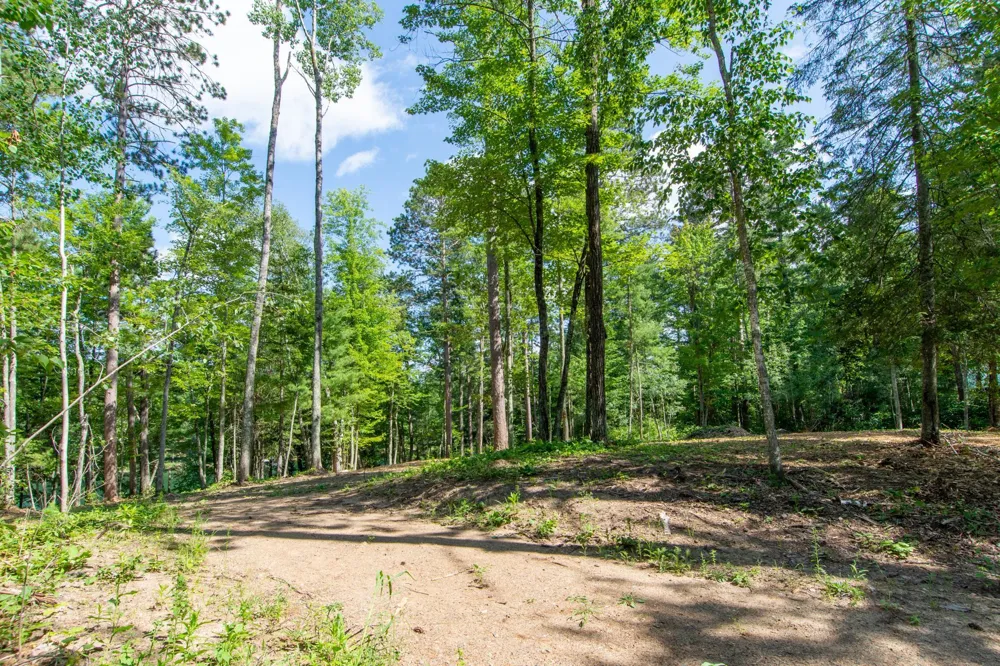 5778 S Bass Lake Road NE Remer, MN 56662