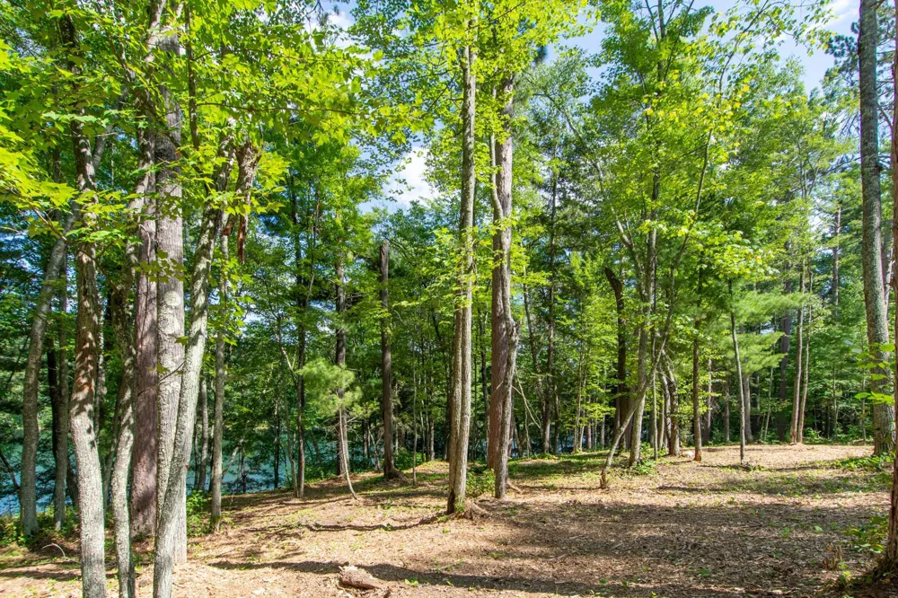 5778 S Bass Lake Road NE Remer, MN 56662