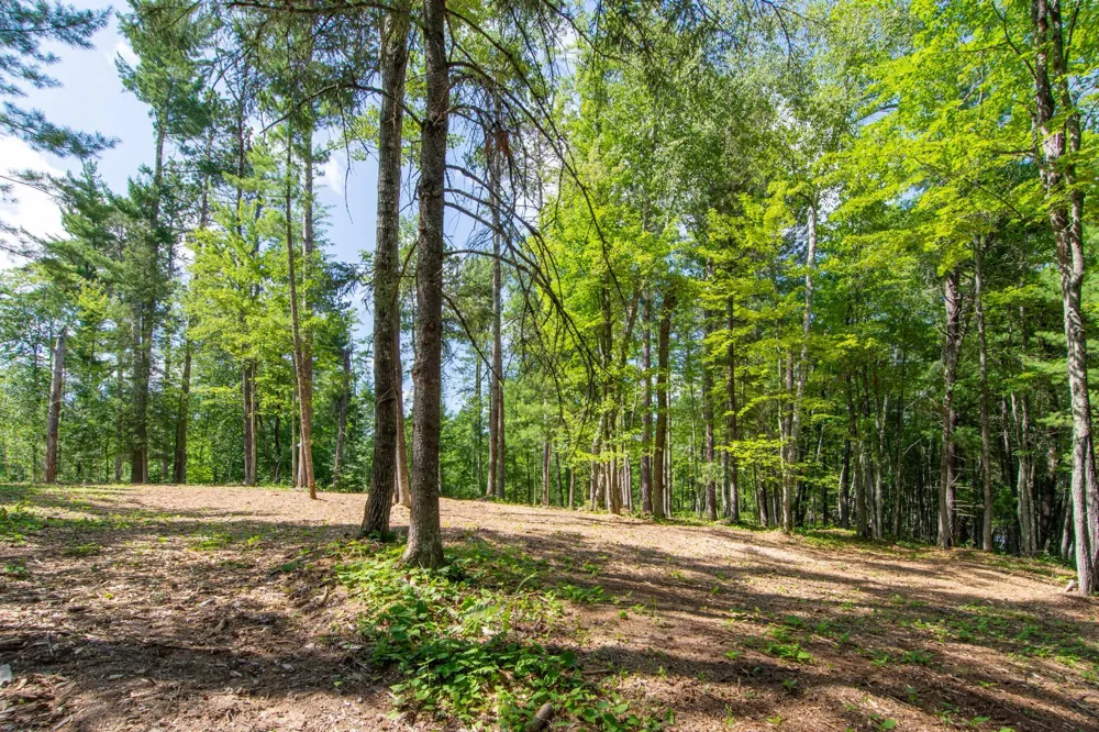 5778 S Bass Lake Road NE Remer, MN 56662