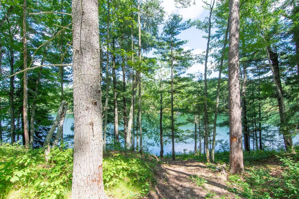 5778 S Bass Lake Road NE Remer, MN 56662