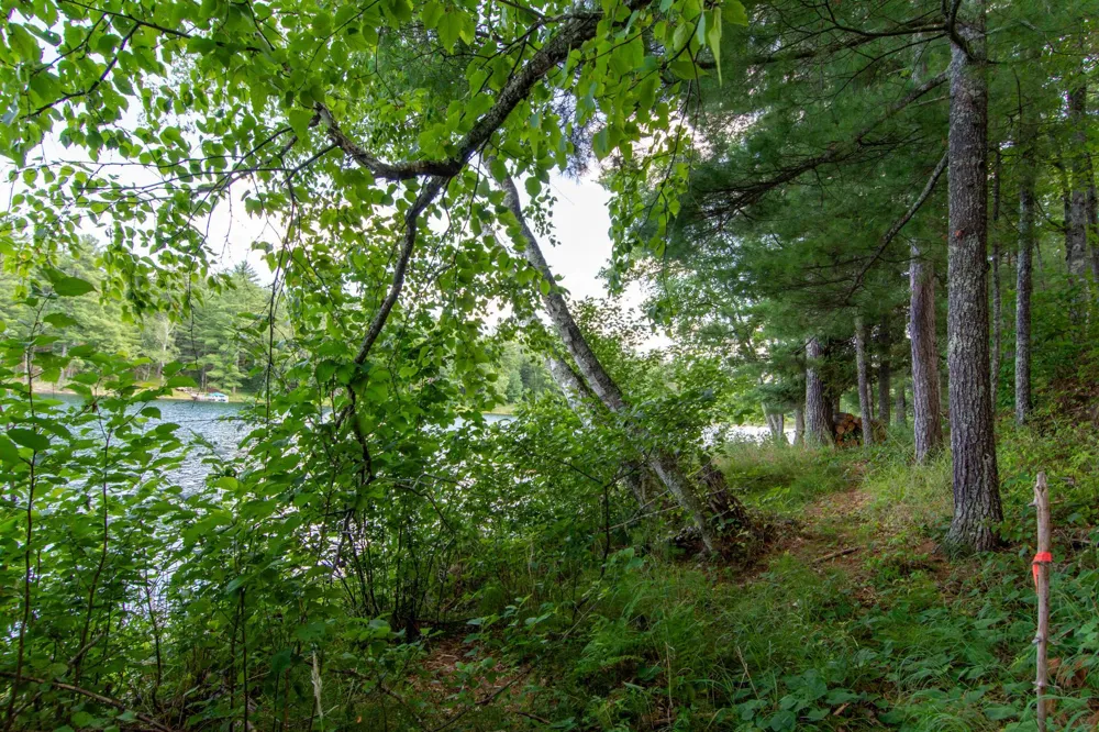 5778 S Bass Lake Road NE Remer, MN 56662