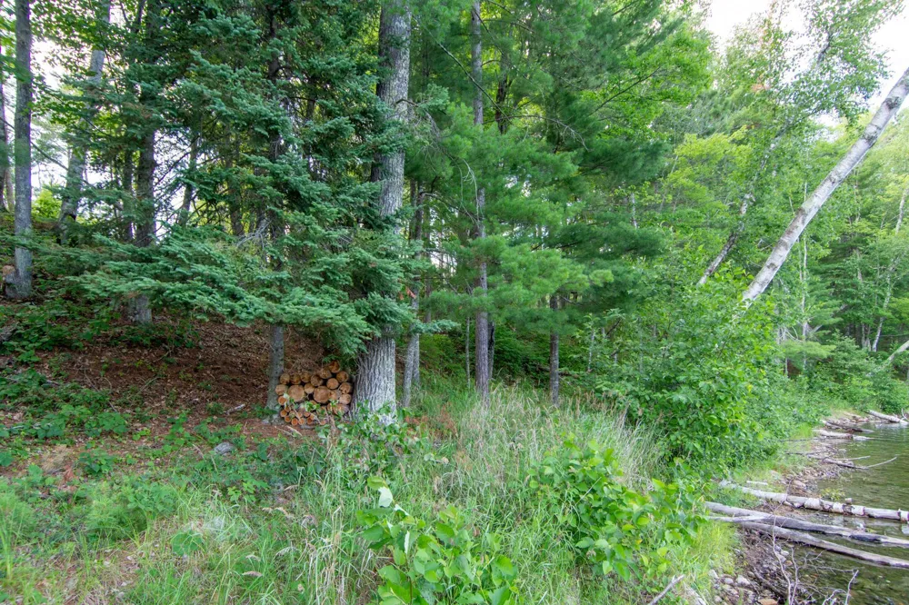 5778 S Bass Lake Road NE Remer, MN 56662