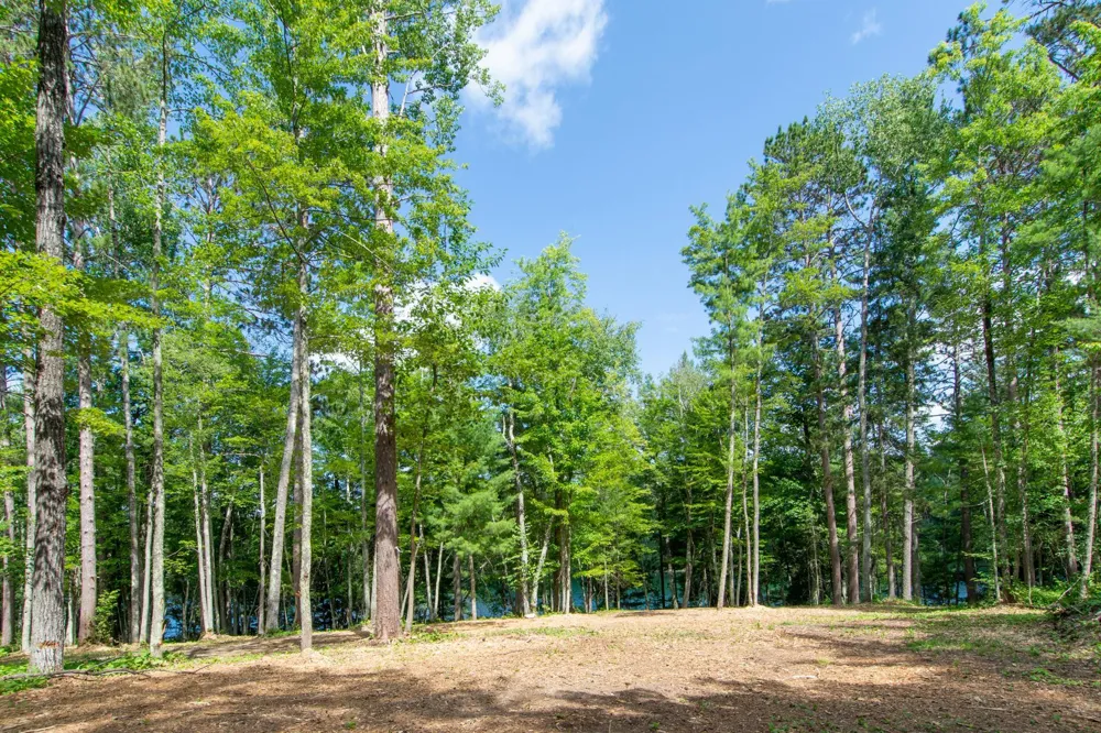 5778 S Bass Lake Road NE Remer, MN 56662