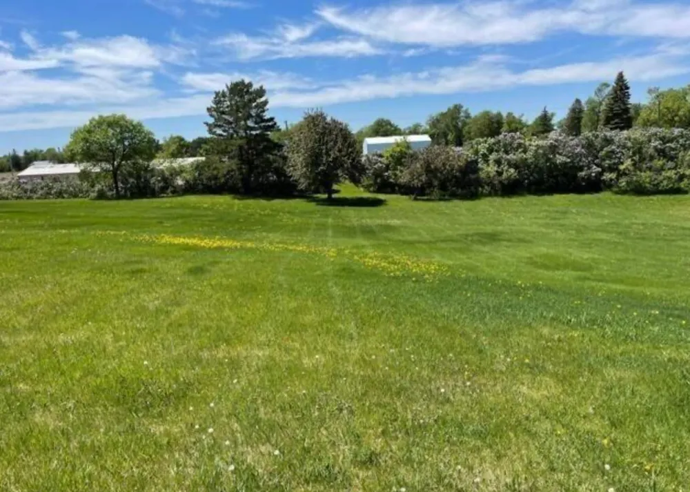 20661 Co Hwy 21 Detroit Lakes, MN 56501