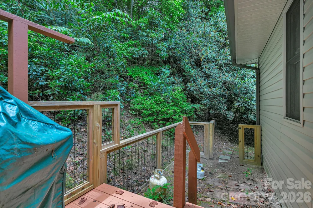 2 Duya Court Brevard, NC 28712